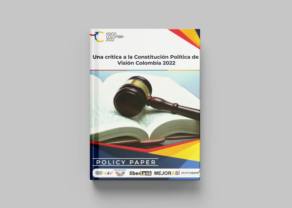 Policy Paper - Critica a La Constitución Política