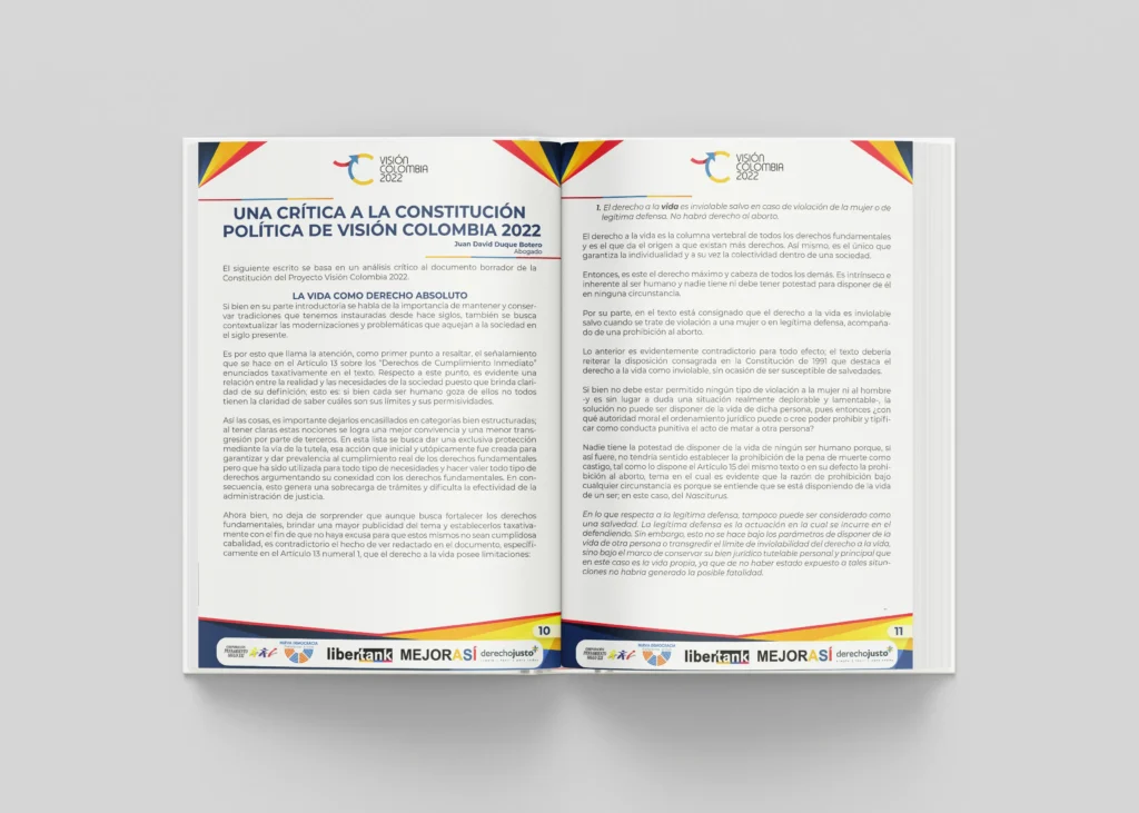 Policy Paper - Critica a La Constitución Política - Imagen 2