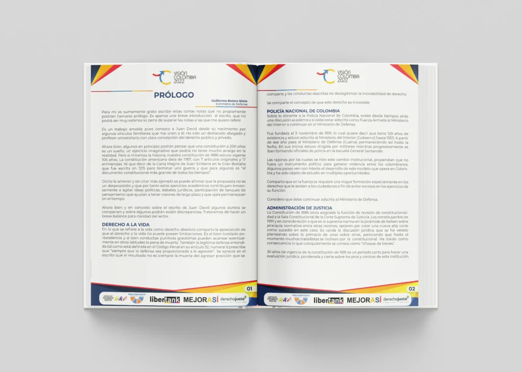 Policy Paper - Critica a La Constitución Política - Imagen 3
