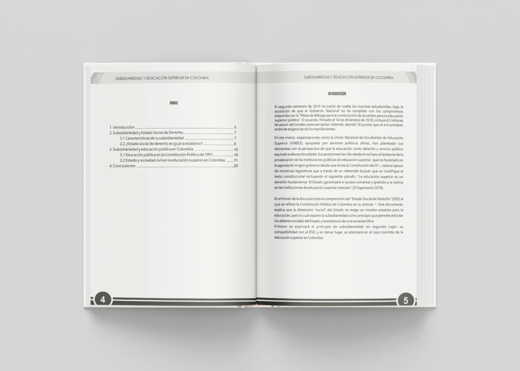 Policy Paper - Educación Superior en Colombia - Imagen 3