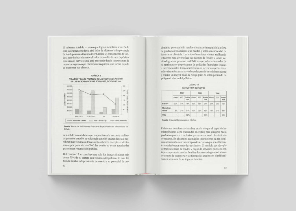 Perfil de las micro finanzas en Latinoamérica de 10 años: visión y características - Imagen 2